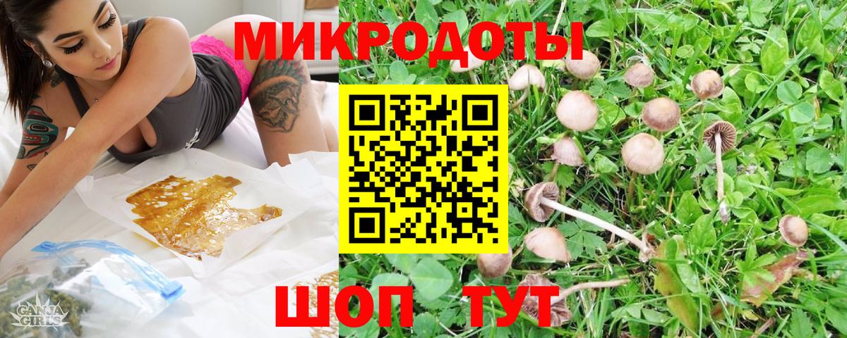 Псилоцибиновые грибы GOLDEN TEACHER Нефтекумск
