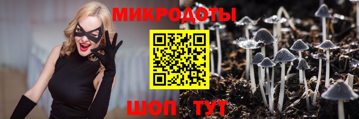 Псилоцибиновые грибы GOLDEN TEACHER  Вход с VPN  Нефтекумск 